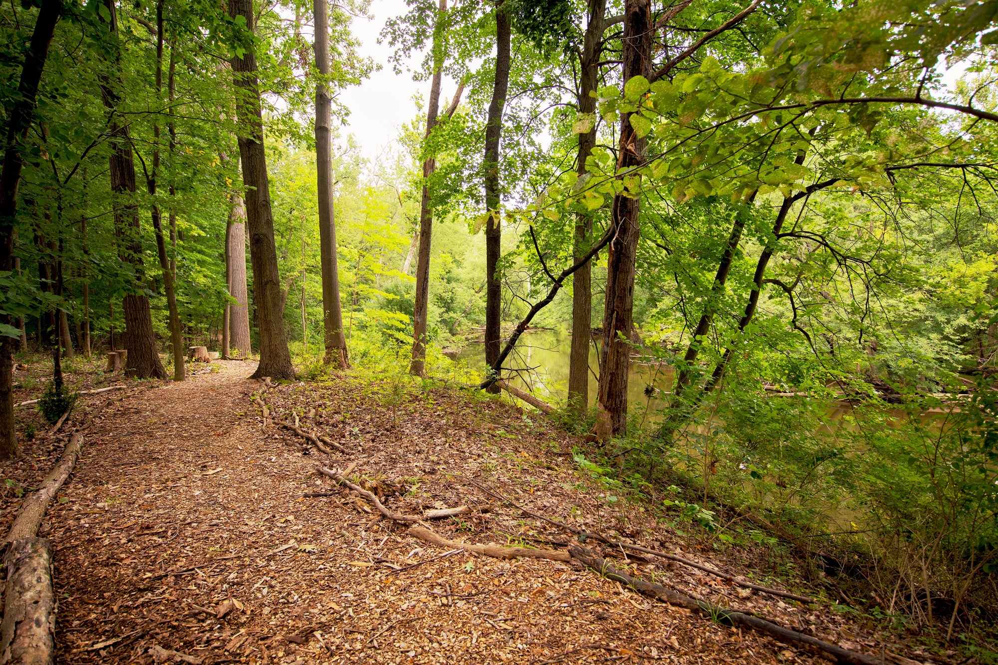 Photos and Video of Stoddard Student Living Center in East Lansing, MI